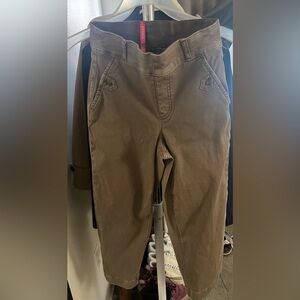 SPANX Brown Pants